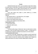 Referāts 'Droša e-pasta lietošana', 3.