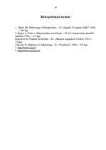 Referāts 'Investīciju organizēšana ražošanas uzņēmumā', 29.