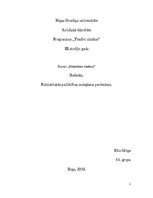 Referāts 'Psihiatriskās palīdzības sniegšana pacientam', 1.