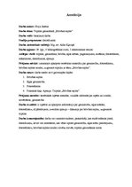 Diplomdarbs 'Triptihs "Brīvības sajūta"', 3.