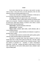 Diplomdarbs 'Triptihs "Brīvības sajūta"', 5.