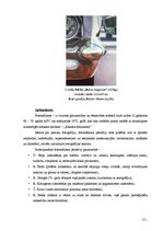 Diplomdarbs 'Triptihs "Brīvības sajūta"', 21.