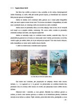 Diplomdarbs 'Triptihs "Brīvības sajūta"', 29.