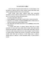 Konspekts 'Starptautiskie kvalitātes standarti', 2.