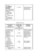 Konspekts 'Valsts pārbaudījuma stunda LSPA', 4.