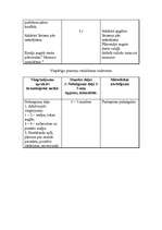 Konspekts 'Valsts pārbaudījuma stunda LSPA', 13.