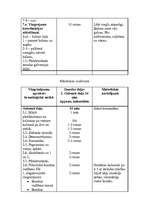 Konspekts 'Valsts pārbaudījuma stunda LSPA', 20.