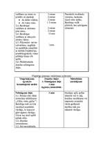 Konspekts 'Valsts pārbaudījuma stunda LSPA', 27.