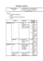 Konspekts 'Valsts pārbaudījuma stunda LSPA', 28.