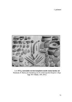 Diplomdarbs 'Arheoloģijas zinātnes attīstība Latvijas teritorijā 19.gadsimtā', 72.