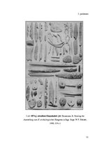 Diplomdarbs 'Arheoloģijas zinātnes attīstība Latvijas teritorijā 19.gadsimtā', 75.