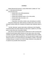 Referāts 'Dzinēju darbības ietekme uz apkārtējo vidi', 25.