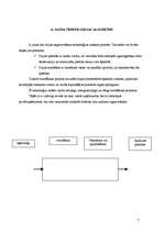 Referāts 'Lini', 7.