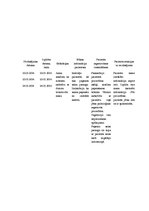 Prakses atskaite 'Aprūpes plāns. Ķīmijterapijas un hematoloģijas nodaļa', 16.