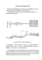 Referāts 'Ūdensapgāde un kanalizācija. Ieskaites darba kontroljautājumi', 3.