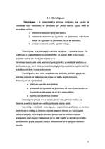 Referāts 'Maksātnespēja', 11.