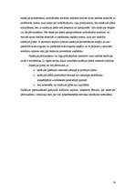 Referāts 'Maksātnespēja', 16.