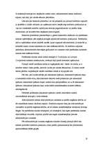 Referāts 'Maksātnespēja', 19.