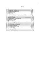 Referāts 'Kredītu tirgus novērtēšana', 2.