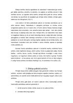 Referāts 'Veselības veicināšanas iespējas agrīnajā vecumā un to nozīme', 6.