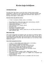 Referāts 'Kruīzu kuģi kā tūrisma sektors', 4.