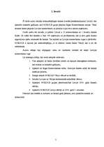 Referāts 'Konkurētspējīgas bankas izveides priekšnosacījumi Latvijā ', 3.