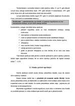 Referāts 'Konkurētspējīgas bankas izveides priekšnosacījumi Latvijā ', 8.