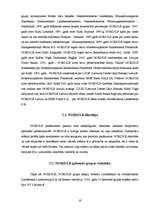 Referāts 'Konkurētspējīgas bankas izveides priekšnosacījumi Latvijā ', 19.