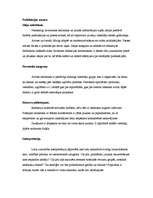 Konspekts 'Apraksts kā žurnālistikas žanrs', 2.