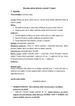 Konspekts 'Stundas plāns latviešu valodā 7.klasei', 1.