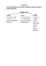 Konspekts 'Stundas plāns latviešu valodā 7.klasei', 7.