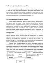 Diplomdarbs 'Tūrisma aģentūras "El'Santa" saimnieciskās darbības analīze un attīstības perspe', 8.