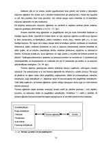 Diplomdarbs 'Tūrisma aģentūras "El'Santa" saimnieciskās darbības analīze un attīstības perspe', 10.