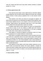 Diplomdarbs 'Tūrisma aģentūras "El'Santa" saimnieciskās darbības analīze un attīstības perspe', 13.
