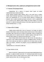 Diplomdarbs 'Tūrisma aģentūras "El'Santa" saimnieciskās darbības analīze un attīstības perspe', 17.