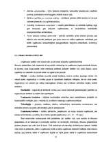 Diplomdarbs 'Tūrisma aģentūras "El'Santa" saimnieciskās darbības analīze un attīstības perspe', 25.