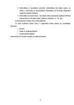 Diplomdarbs 'Tūrisma aģentūras "El'Santa" saimnieciskās darbības analīze un attīstības perspe', 31.