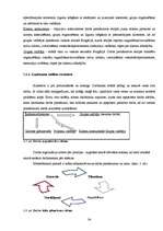 Diplomdarbs 'Tūrisma aģentūras "El'Santa" saimnieciskās darbības analīze un attīstības perspe', 34.
