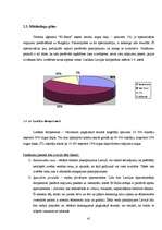 Diplomdarbs 'Tūrisma aģentūras "El'Santa" saimnieciskās darbības analīze un attīstības perspe', 41.