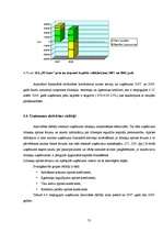 Diplomdarbs 'Tūrisma aģentūras "El'Santa" saimnieciskās darbības analīze un attīstības perspe', 55.