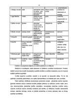 Referāts 'Sociālās pieredzes nozīme konfliktsituāciju risināšanā komercizglītībā', 28.