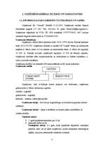 Biznesa plāns 'SIA "Grauds"', 4.