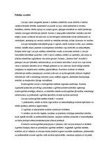 Referāts 'Mūžizglītība', 4.