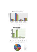 Referāts 'Mūžizglītība', 19.