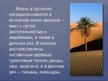 Prezentācija 'Пустыня', 7.