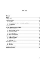 Referāts 'Mārketinga plāna izstrāde izsmidzināmajai silikona aizsargplēvei', 2.