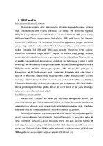 Referāts 'Mārketinga plāna izstrāde izsmidzināmajai silikona aizsargplēvei', 4.