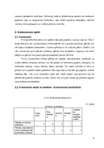 Referāts 'Mārketinga plāna izstrāde izsmidzināmajai silikona aizsargplēvei', 6.