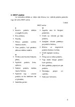 Referāts 'Mārketinga plāna izstrāde izsmidzināmajai silikona aizsargplēvei', 8.