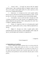 Referāts 'Mārketinga plāna izstrāde izsmidzināmajai silikona aizsargplēvei', 10.